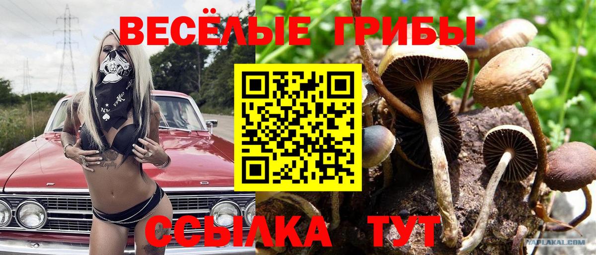 Псилоцибиновые грибы Cubensis  Вход с VPN  Галлюциногенные грибы Magic Shrooms  Севастополь 